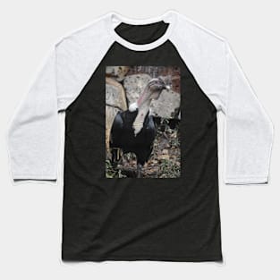 Andean Condor Baseball T-Shirt